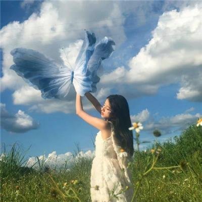 嘉年华大盗 海报